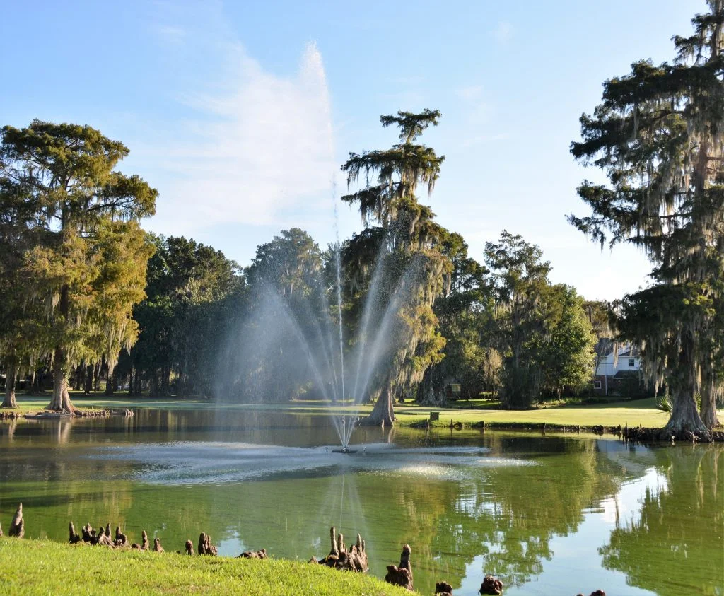 community membership